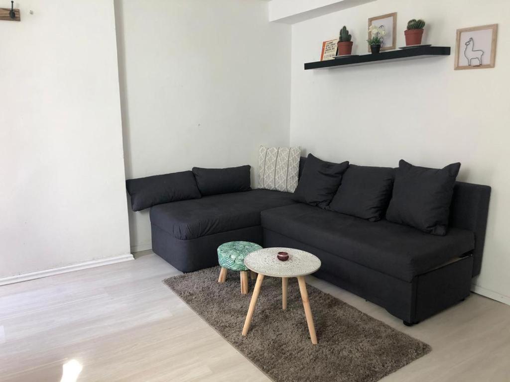 Bescheidene Untergeschoss Wohnung In Guter Lage. Colonia Esterno foto