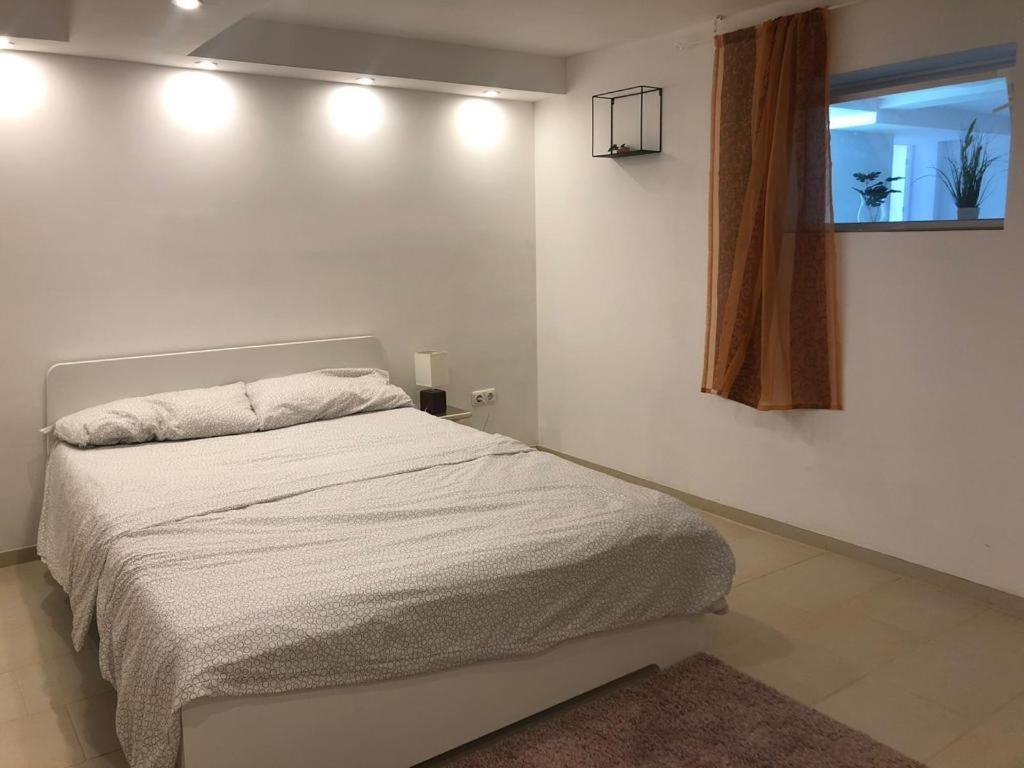 Bescheidene Untergeschoss Wohnung In Guter Lage. Colonia Esterno foto